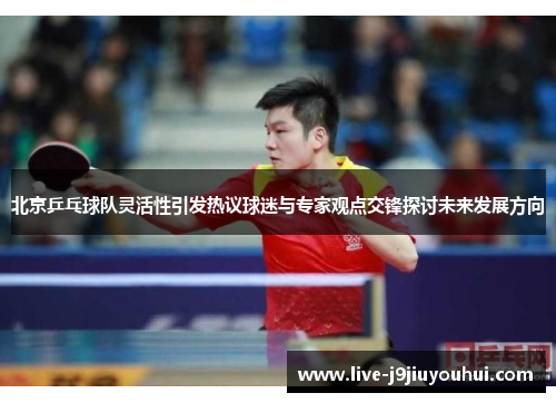 北京乒乓球队灵活性引发热议球迷与专家观点交锋探讨未来发展方向