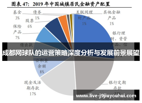 成都网球队的运营策略深度分析与发展前景展望