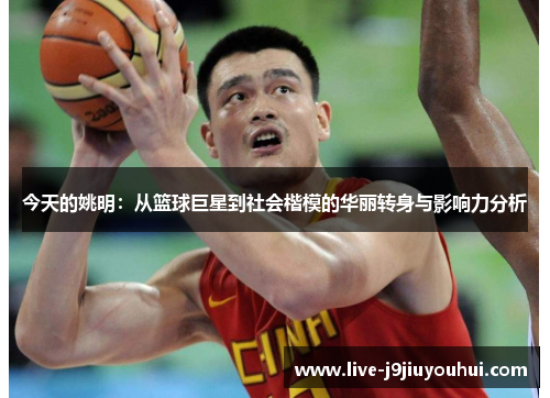 今天的姚明：从篮球巨星到社会楷模的华丽转身与影响力分析