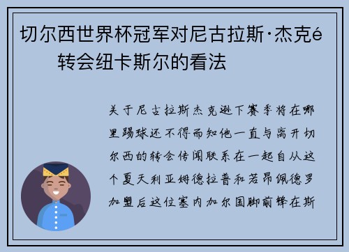 切尔西世界杯冠军对尼古拉斯·杰克逊转会纽卡斯尔的看法