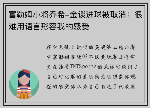 富勒姆小将乔希-金谈进球被取消：很难用语言形容我的感受
